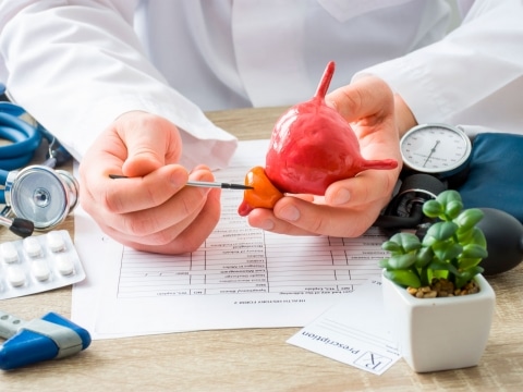 Urologie